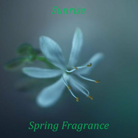 Sunrise - Spring Fragrance by Sunrise