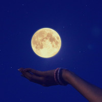 【裏騎士と踊り子の物語】 by Cotori Takanashi