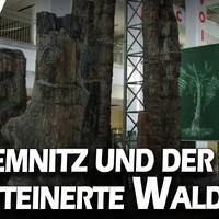 Chemnitz und der Steinerne Wald by NuoFlix