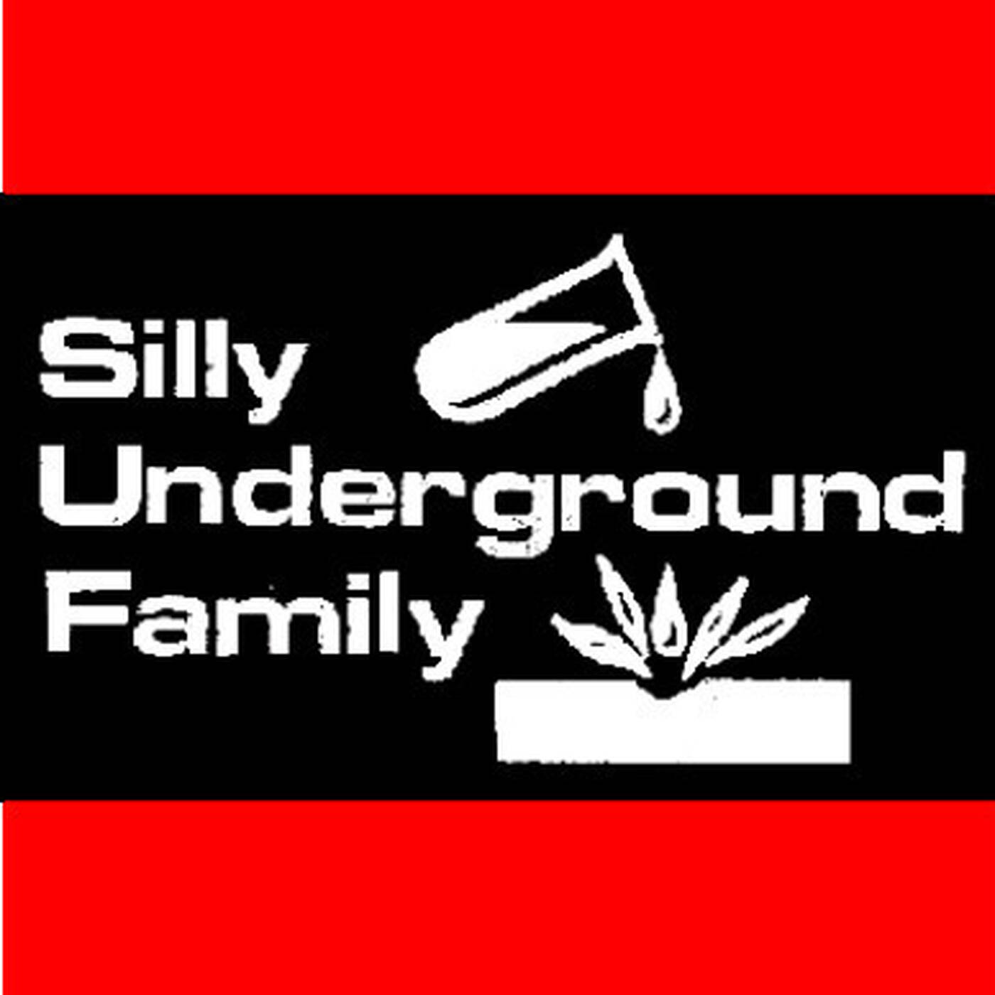 Beats 'n Breaks 2025-07-16 Music-Gallery by Phun & R'nst ( sillyundergroundfamily  ) live from ORKZ-Bar! episode artwork