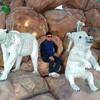 DJ dheeru