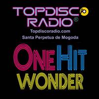 One Hit Wonder 1.2 Topdisco Radio by Topdisco Radio