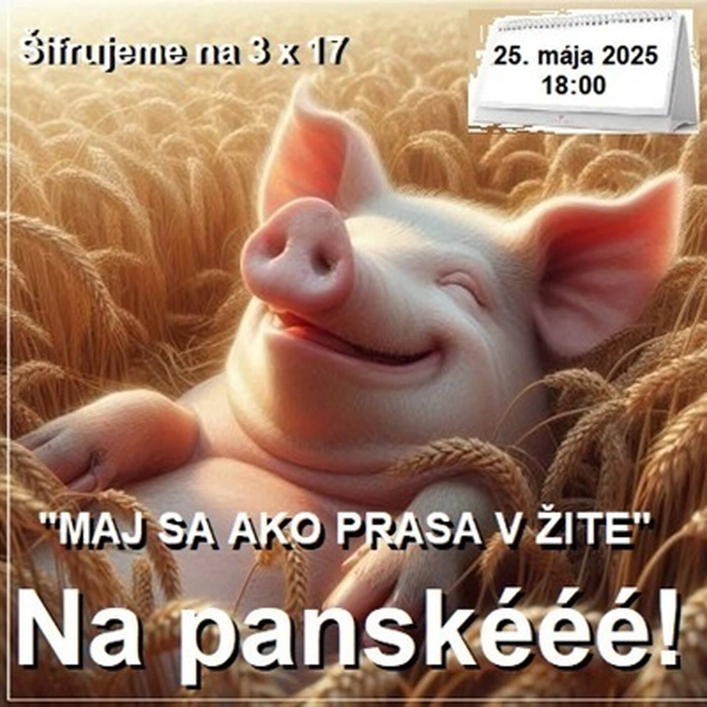 Na panské - 2025-05-25 humoristický týždenník 18/2025 episode artwork
