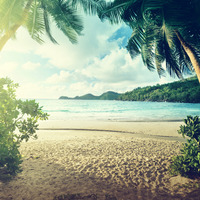 FOOTSTEPS by djsurfista