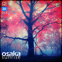 Osaka Sunrise 17 by rapa