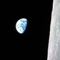 Murmuration & Burdman - Mac Lojowski - Horizon by Warriorpoets