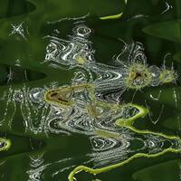 Je ne fais que passer by Gérard Delassus