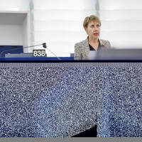 L'Alterquestionnaire ! avec Anne SANDER, eurodéputée PPE by L'Alterpresse68