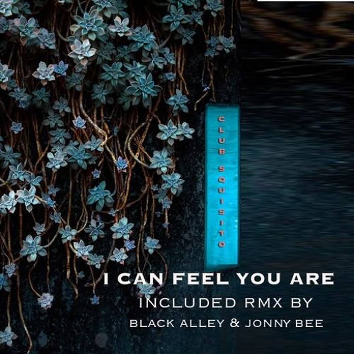 Club Squisito - I Can Feel You Are (Black Alley back to '89 Remix) low rez preview episode artwork