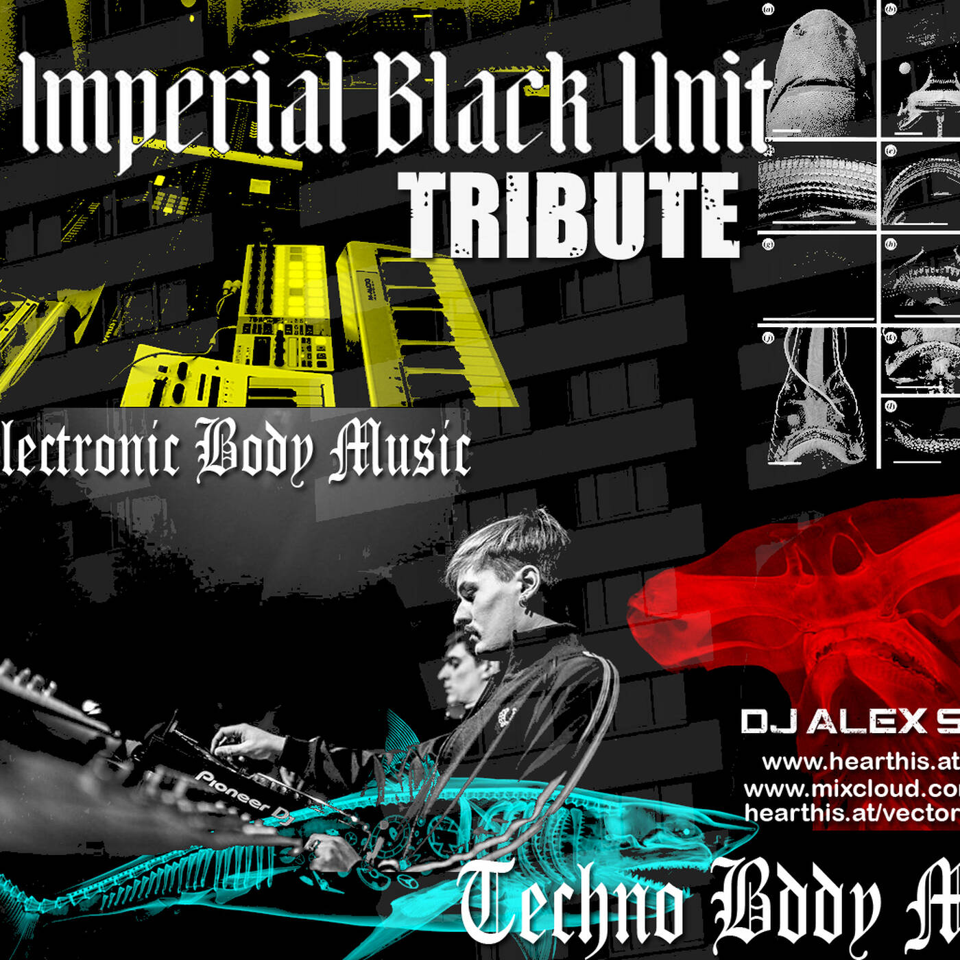 IMPERIAL BLACK UNIT TRIBUTE MIX - BY DJ ALEX STRUNZ - 11-10-2020 episode artwork
