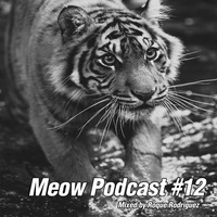 Roque Rodriguez - Meow Podcast #12 by Roque Rodriguez