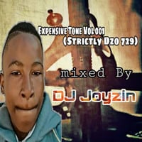 DJ Joyzin 