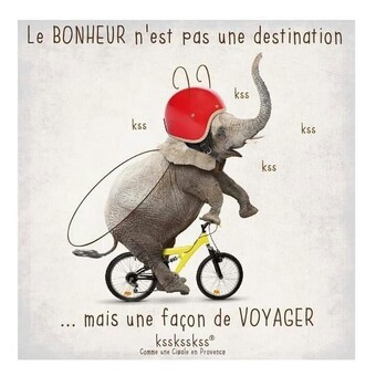 C&Atilde;&copy;cile Caiveau