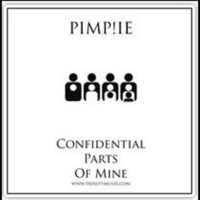 PIMP!IE - Confidential Parts Of Mine (PIMP!IEs Carnival Mix) preview by .