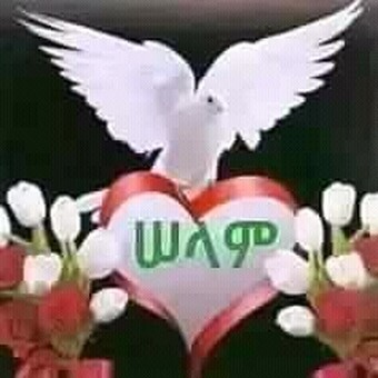 Muzemil Sead