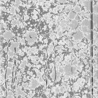 Mix 161 - Trancing in the light by BrotherHexx