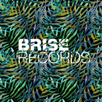 Right On - Walking Home EP (Brise Records)