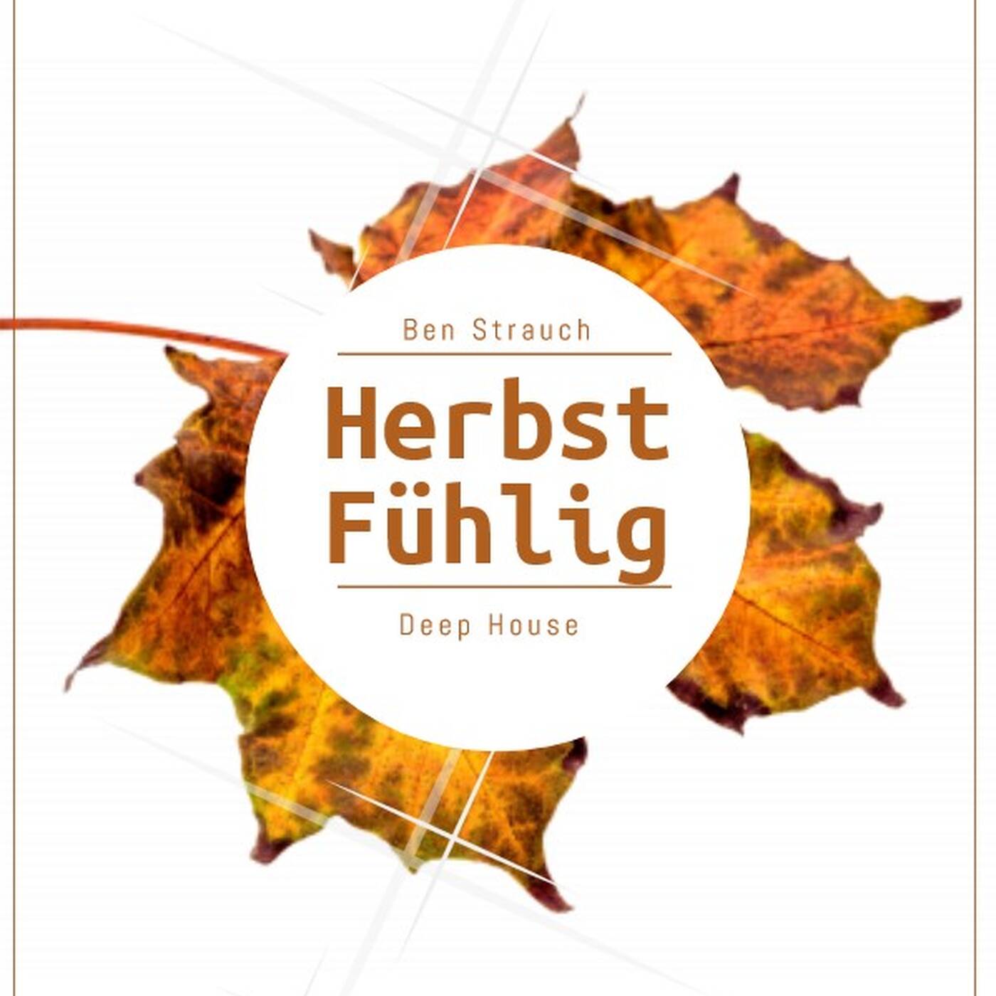 Ben Strauch - HerbstFÜHLIG   |  Deep House |  November2017 episode artwork
