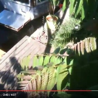 Rico Heist Sarah Kraut