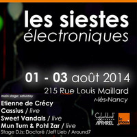 Doctor @  &quot;les siestes electroniques&quot; Festival / Nancy (Fr)  / Aug 2014 by Doctor