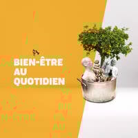 Bien &ecirc;tre au quotidien