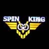 Dj Spinking
