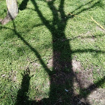 Andr&eacute;s Alonso