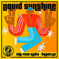 Classic Disco Grooves to Let The Sunshine In - Liquid Sunshine @ The Face Radio - Show #238 by Liquid Sunshine
