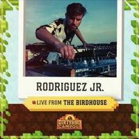 Dirtybird Campout (Live-Set, mobilee219) by Rodriguez Jr by Techno Music Radio Station 24/7 - Techno Live Sets