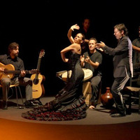 Jaspers Flamenco Waltz by cwcareaga