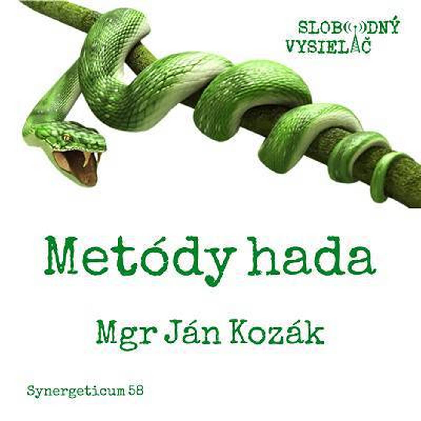 Synergeticum 63 - 2018-04-03 Metódy hada... episode artwork
