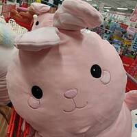 listening club rabbit vortex 2023-01-29 by akx