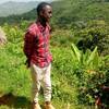 Stoner Mkongwe