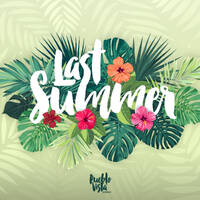 Last Summer 2018 ♨️ [ Lofi Chill Beats Mix ] by Pueblo Vista