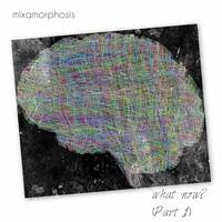 What Now? (Part 1) by Mixamorphosis