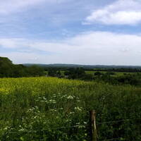 Fields Of The Sun by Joe Chapman