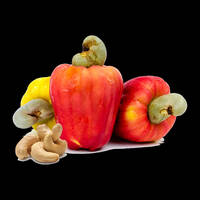 cAsHEw by pHiLBo