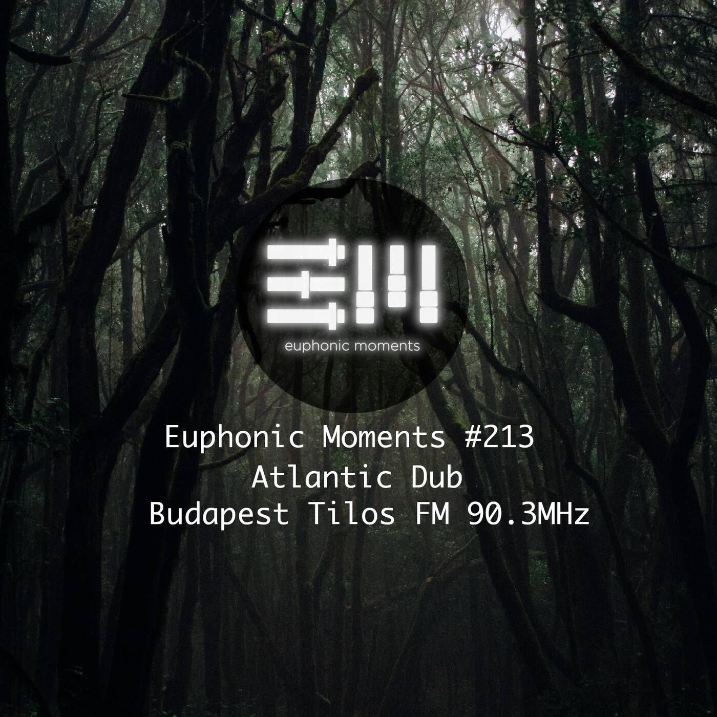 Euphonic Moments # 213 Atlantic Dub episode artwork