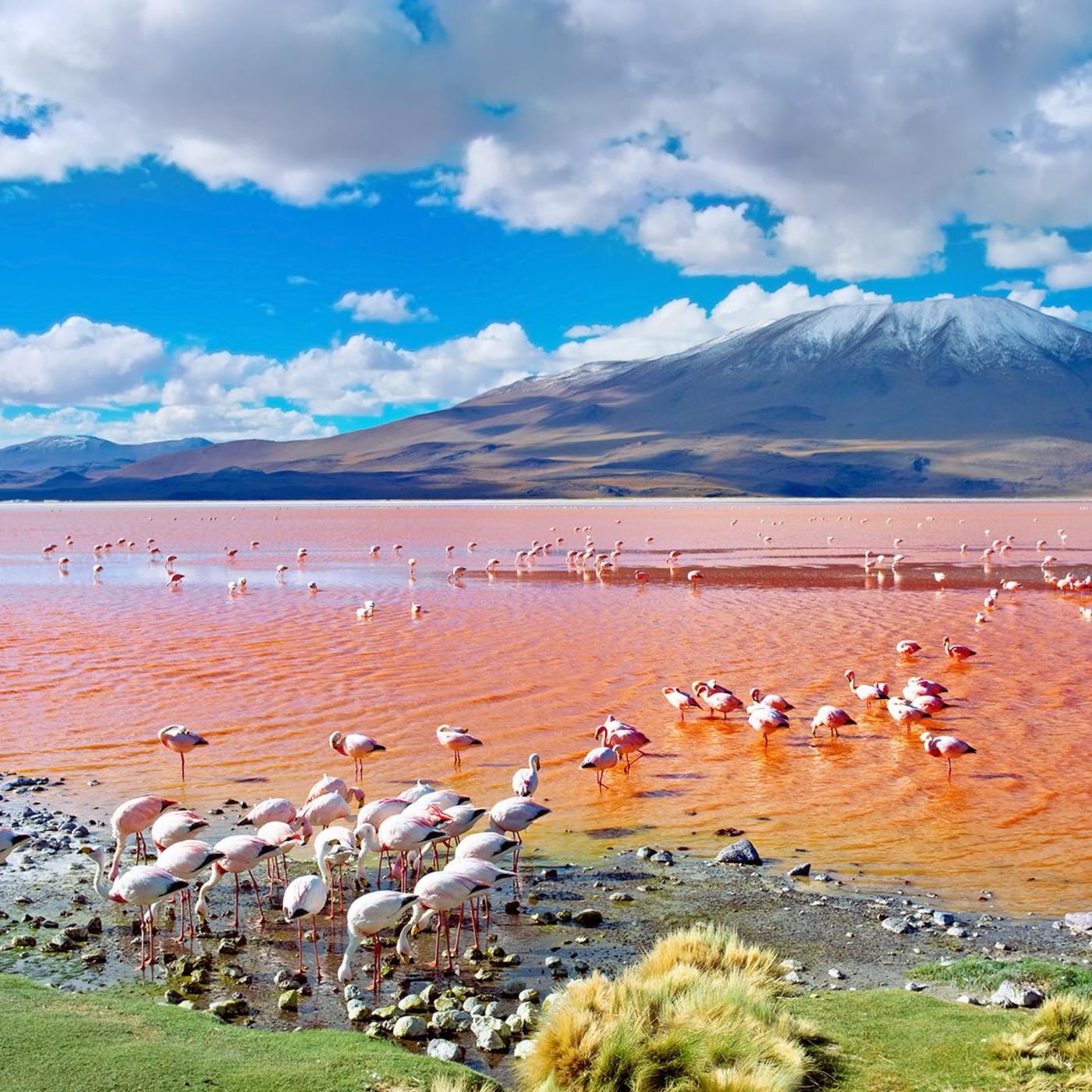 The Deep House Cave by Dj TuXxL (Univers DJ)