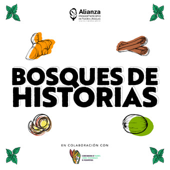 Bosques de Historias