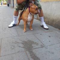 podcast 22 rap oldschool FR by LE MATOU