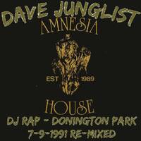 DJ Rap - Amnesia House Donington 7-9-91 Re-Mixed by Dave Junglist