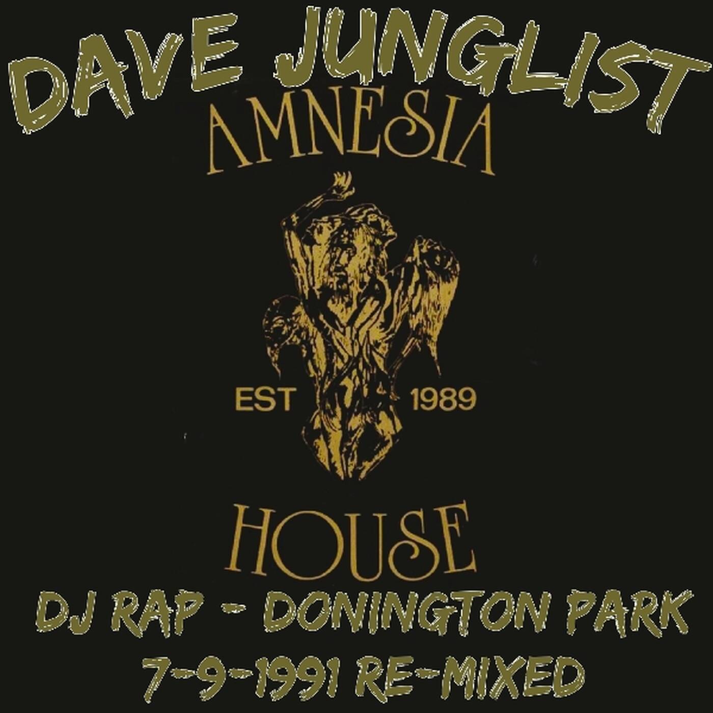 DJ Rap - Amnesia House Donington 7-9-91 Re-Mixed episode artwork