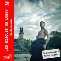 ELECTROSEXUAL pour TSUGI RADIO - Les Disques du Lobby by ELECTROSEXUAL