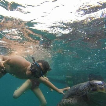 Crls Alianza Lima Corazon