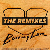 Jesus Loves Electro - Burning Love (MeGMoG Remix) by Jesus Loves Electro