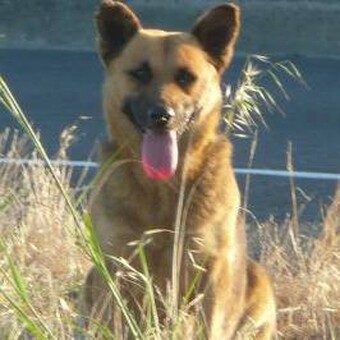 Moses Wainaina Ngara