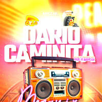 Dario Caminita Revibes Megamix part2 by André van den Dikkenberg
