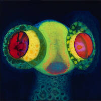 20241024 by Joost Dierick