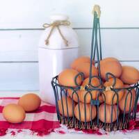 Казахстан и Россия решили снять ограничения во взаимной торговле сельхозпродукцией by BUSINESS FM